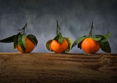 Three satsumas with leaves