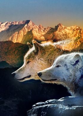 Wolf Mountain 