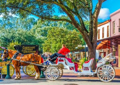 Carriage Tours Savannah