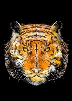 ornamental tiger