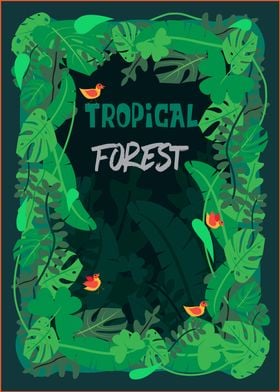 tropical forest 