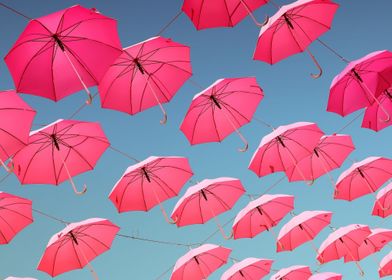 Pink Umbrellas