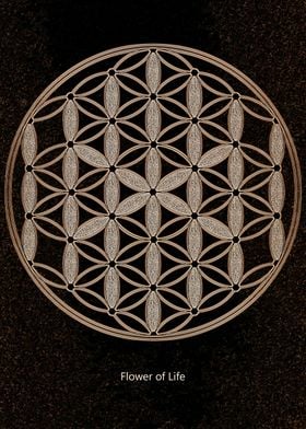 Flower of Life