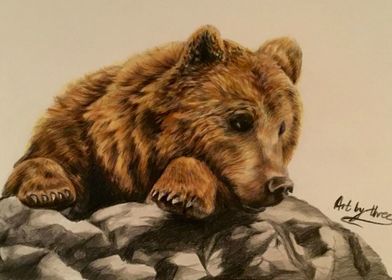 Grizzly Brown Bear