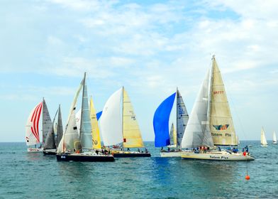 Sailboats in the sea