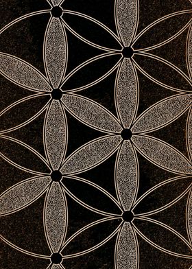 Flower of Life Closeup