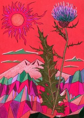 Mountain Thistle Flower