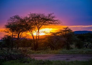 Sun set Serengeti park