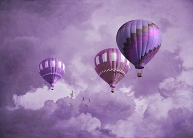 Purple Hot Air Balloons