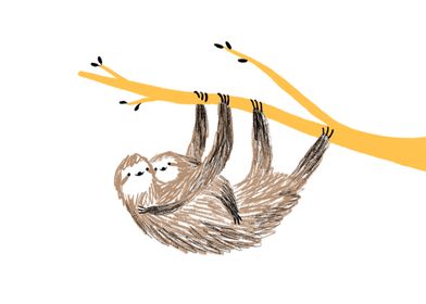 Sloth Cuddle