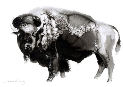 Wintery Bison