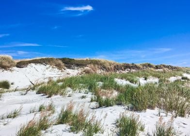  seaside landscape