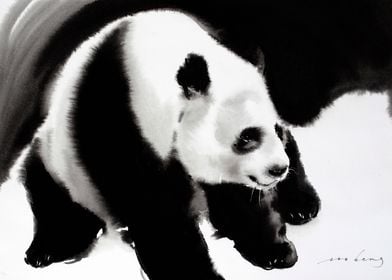 Giant Panda2