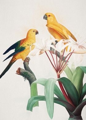Love Parrots Texture Art