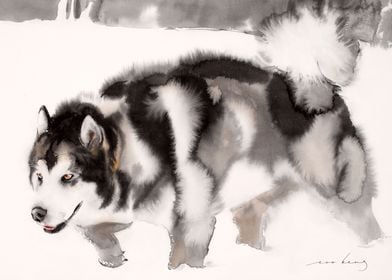 Alaskan Malamute