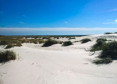  seaside landscape