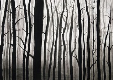 Dark forest 