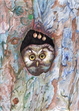 Owl in hollow