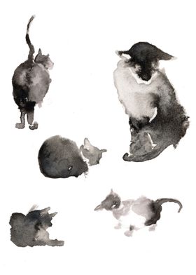 Cats 