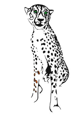 Sitting cheetah color