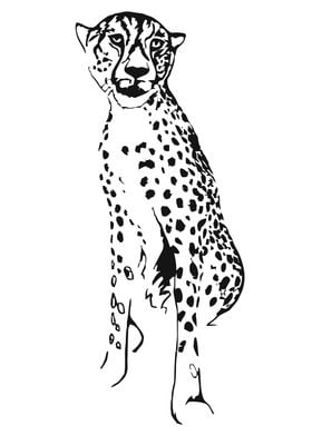 Sitting Cheetah