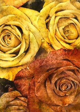 Roses floral art