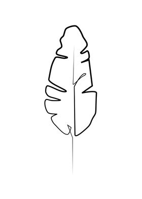 One line guava leaf