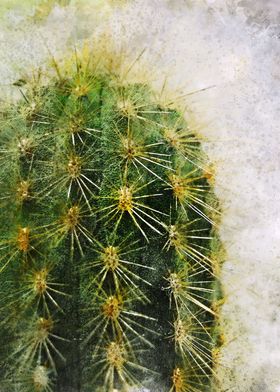 Cactus floral art