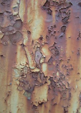 Rust and Peeling II