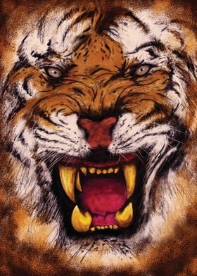 Tiger Drawing angry