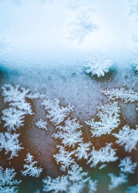 Closeup of snow flakes