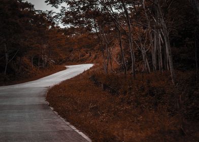 The lone road 