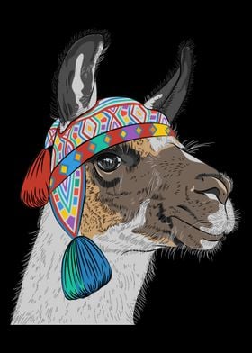 Llama 