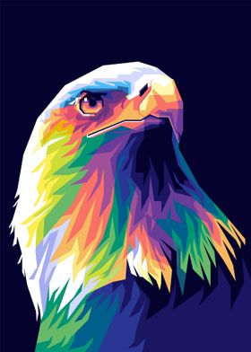 Eagle Beautiful Color