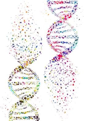 DNA 