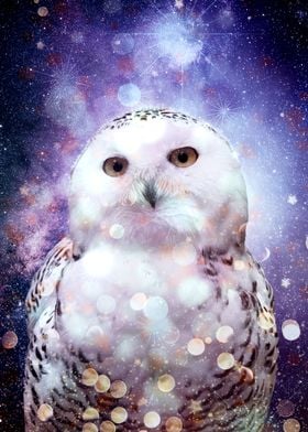 Night Sky Snowy Owl