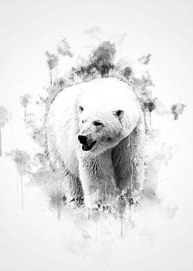 Polar Bear Black and White