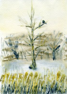 Rook On a Tree In Winter