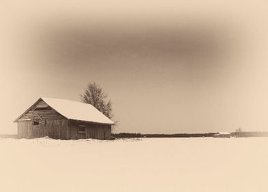 Barns On The Winter Fields