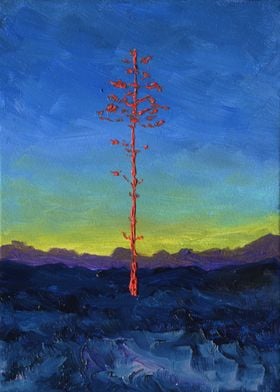 Mountain Pine At Sunset
