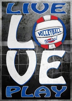 Love Play Blue Red Vball