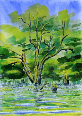 Old Tree In The Water 4