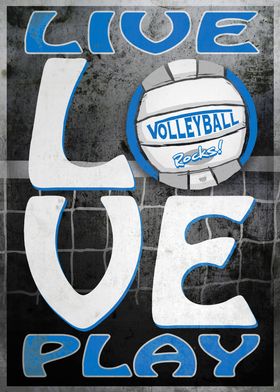 Love Vball Blue Silver