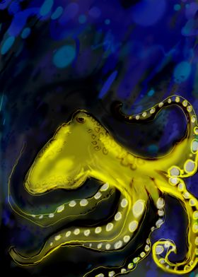 Octopus in sea