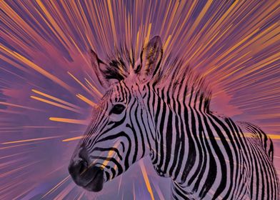 Zebra pop rainbow