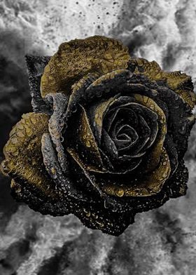 Unique Rose For Love