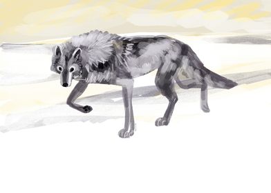 Arctic Wolf 1