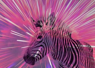 Zebra pop pink