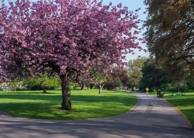 Regents Park London