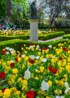 Tulips in Holland Park